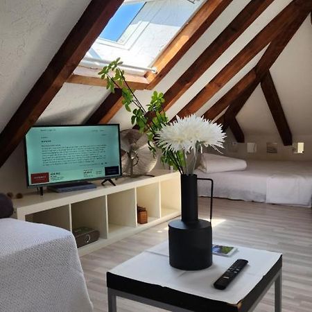 Trend Area Attic Seefeld Zurich Exterior photo