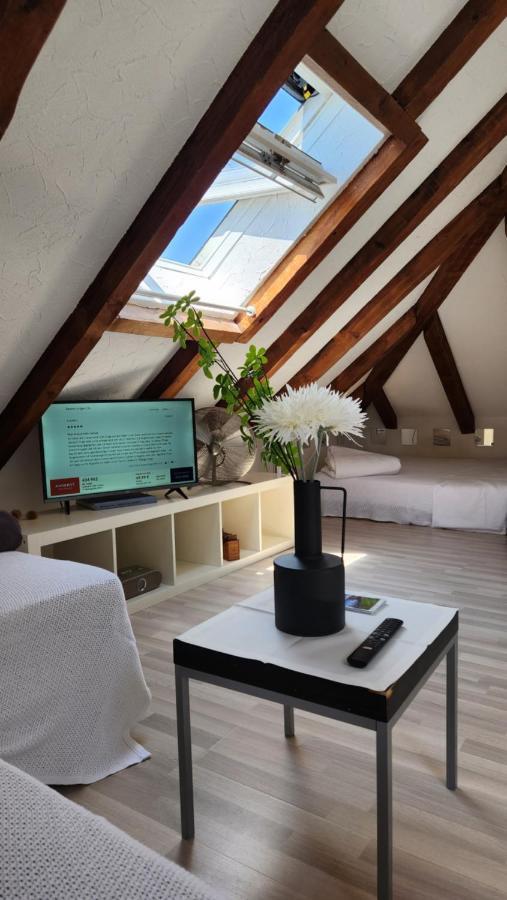 Trend Area Attic Seefeld Zurich Exterior photo