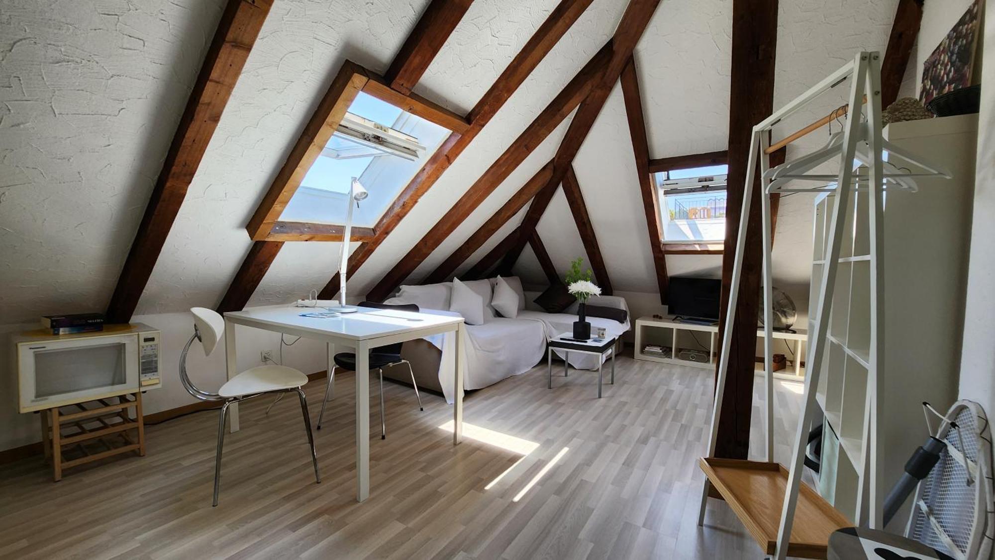 Trend Area Attic Seefeld Zurich Exterior photo